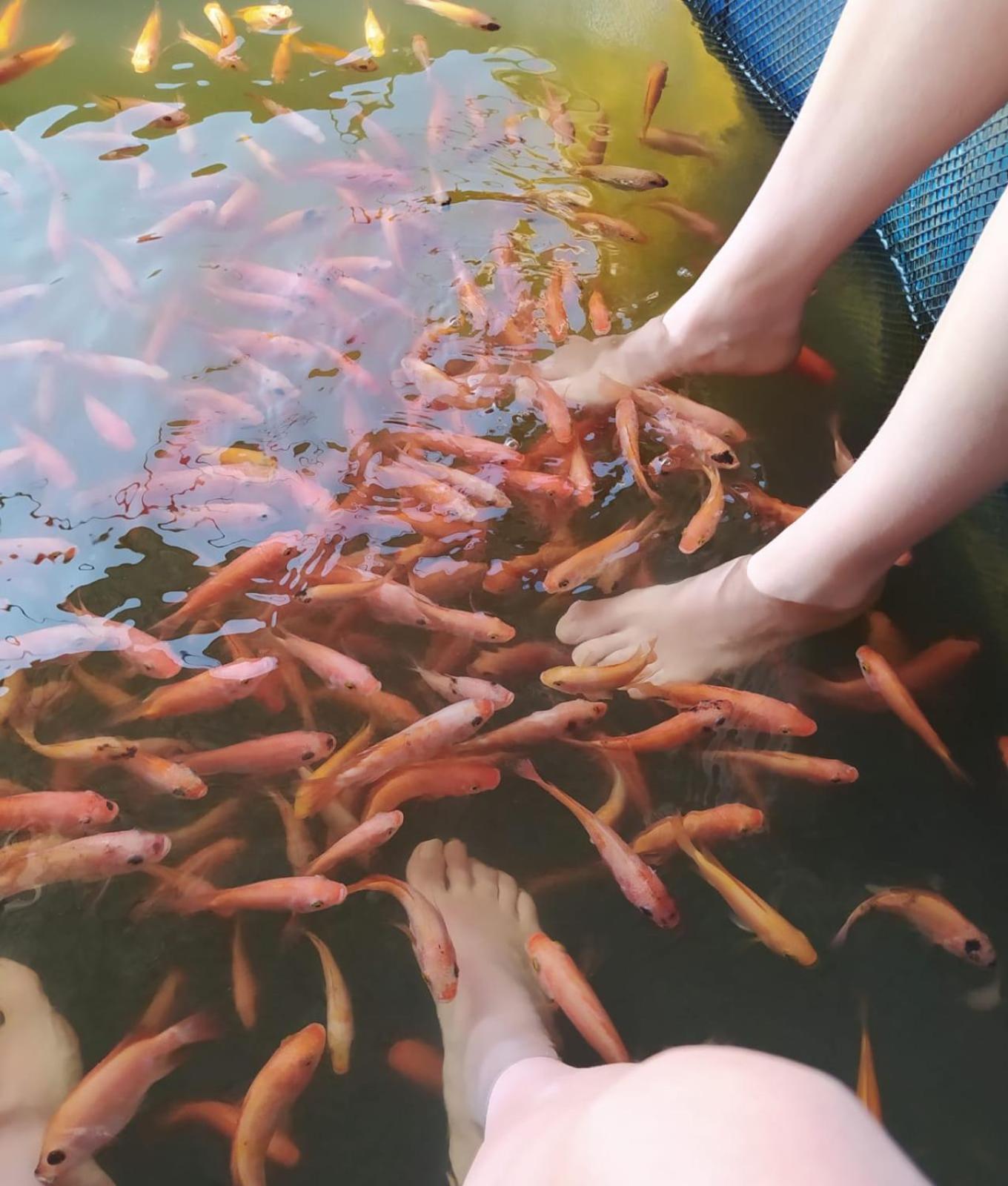 Lake Lane Guest Rest コッガラ エクステリア 写真